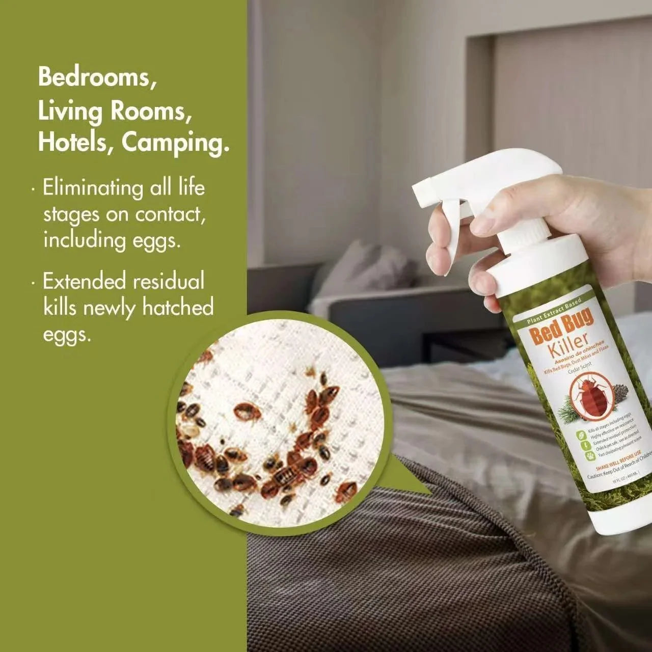 Ecoraider Bed Bug Killer Spray 2 Oz X 6 Bundle, 100% Killing Efficacy with Residual Protection, Green & Non-Toxic