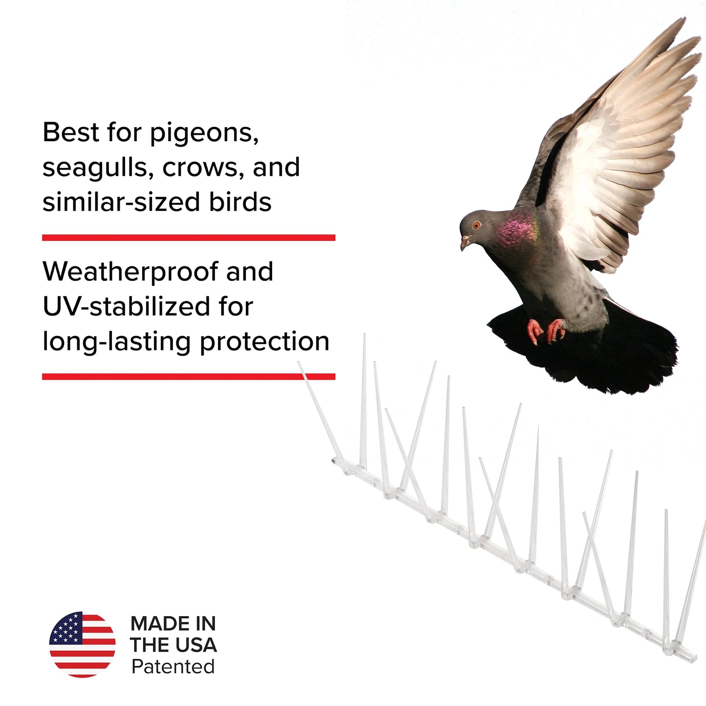 Enviro Spike Clear Plastic Bird Spikes (6 Ft), Bird Deterrent for Pigeons