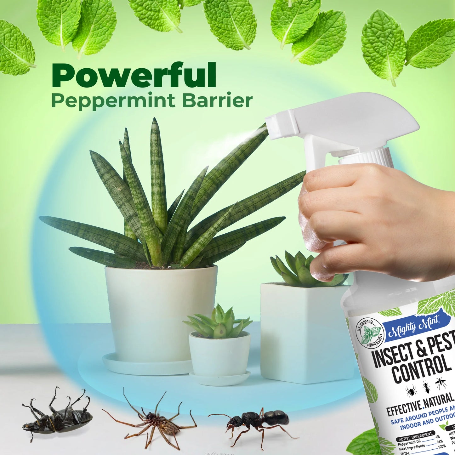 Insect & Pest Control, 15 Oz