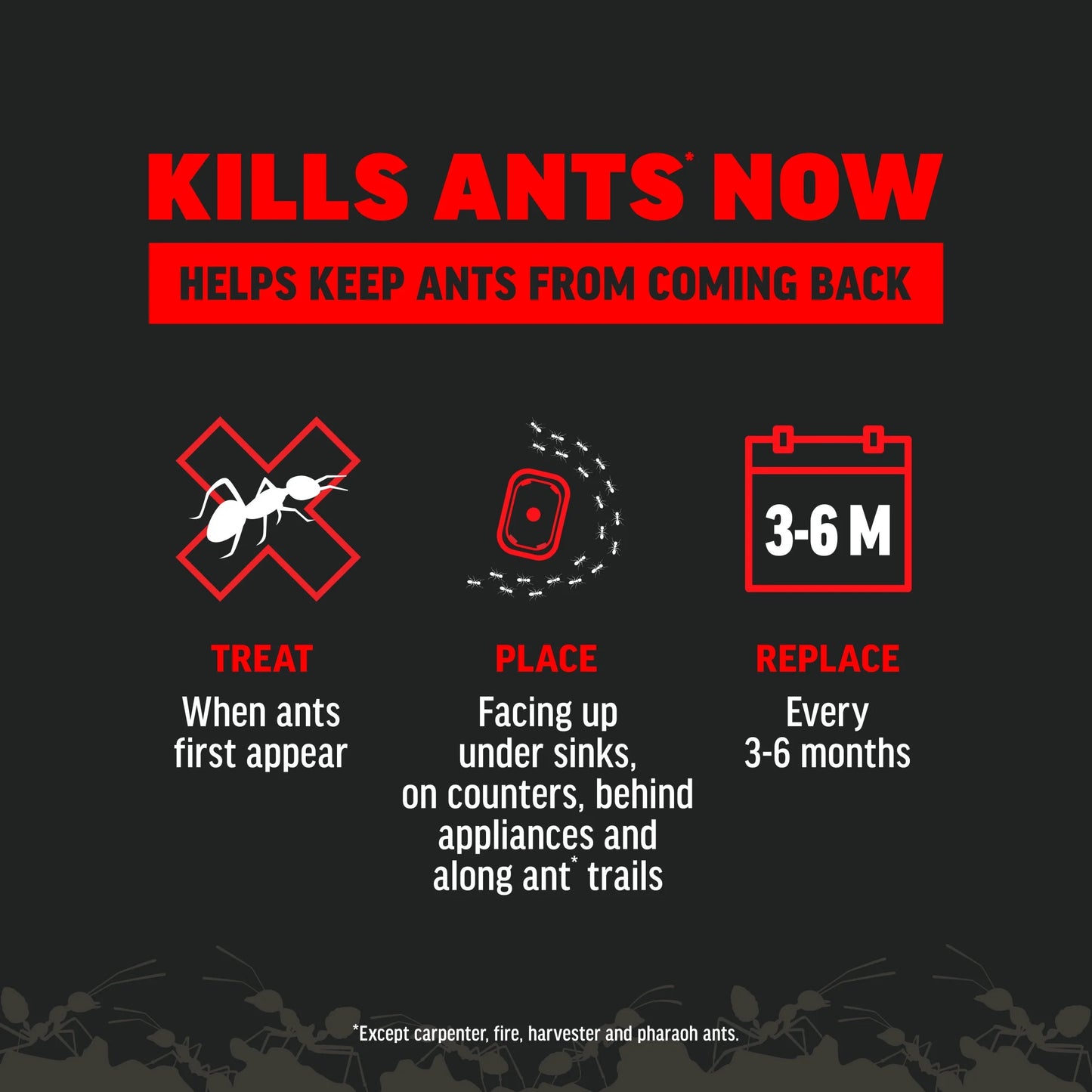 Ant Kills Ant Killer Bait Station, 4 Count