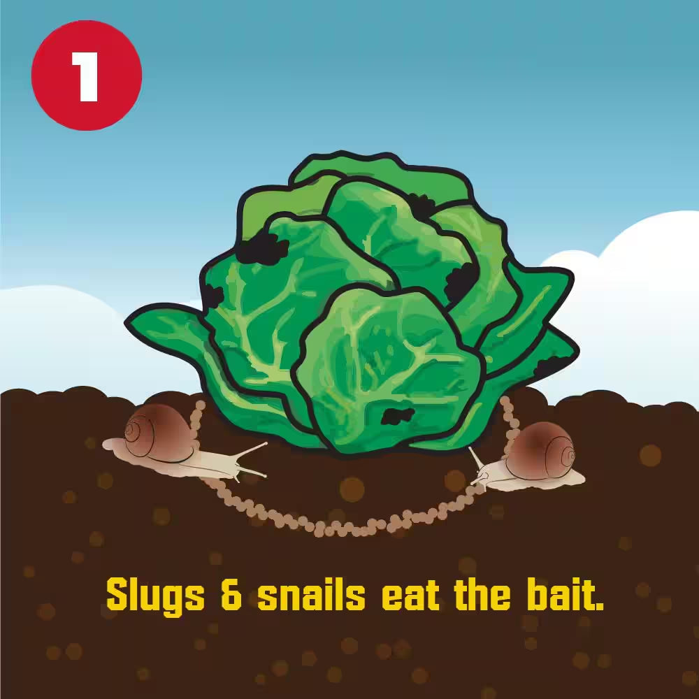 8 Lb. 40,000 Sq. Ft. Slug and Snail Killer for Plants and Gardens