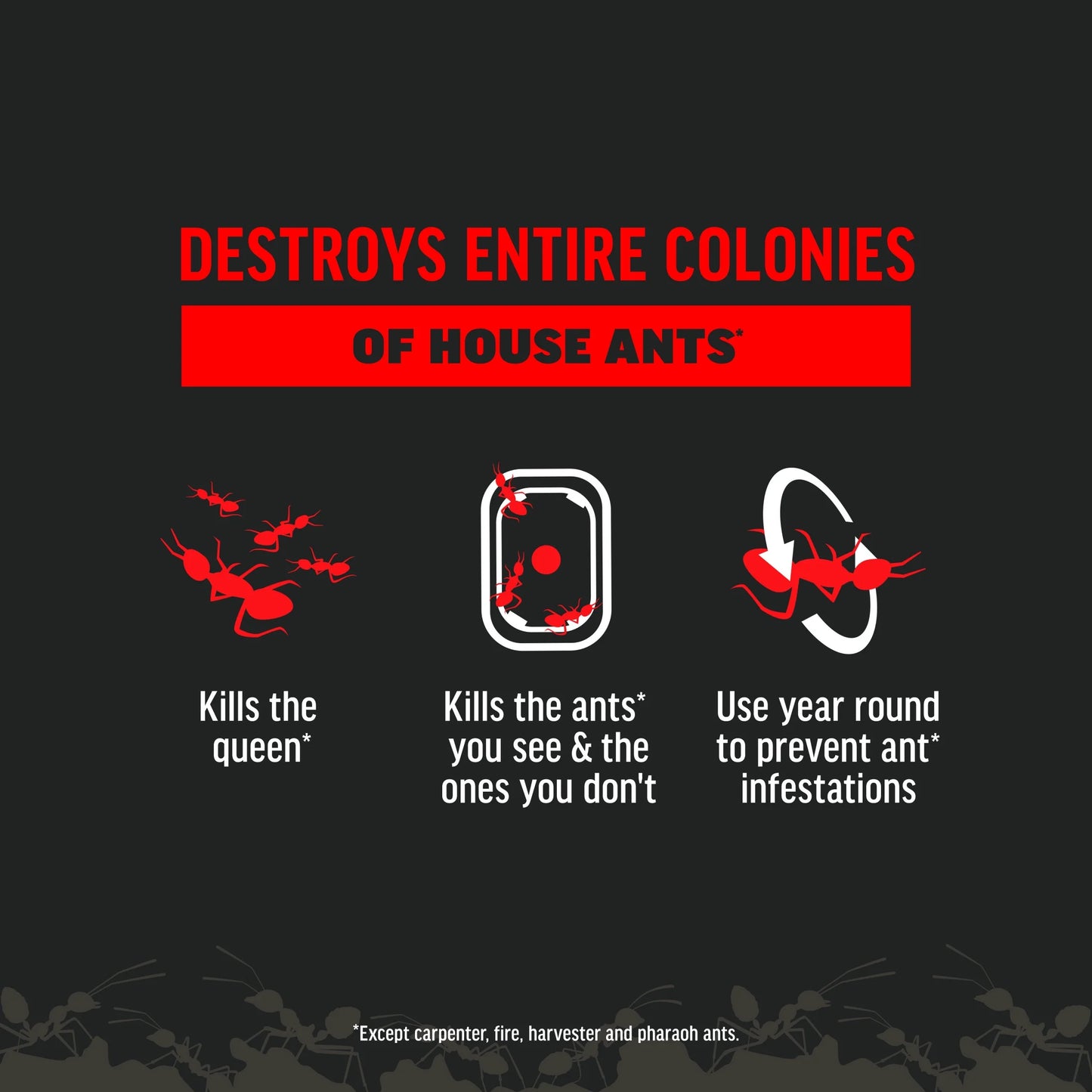 Ant Kills Ant Killer Bait Station, 4 Count