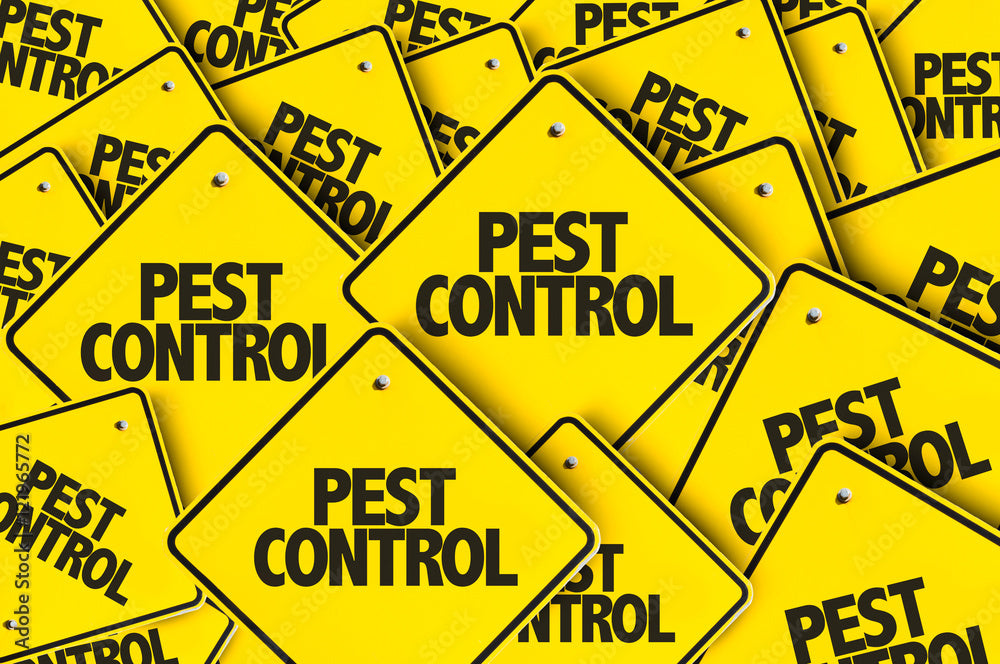 Pest Control (Home & Garden)