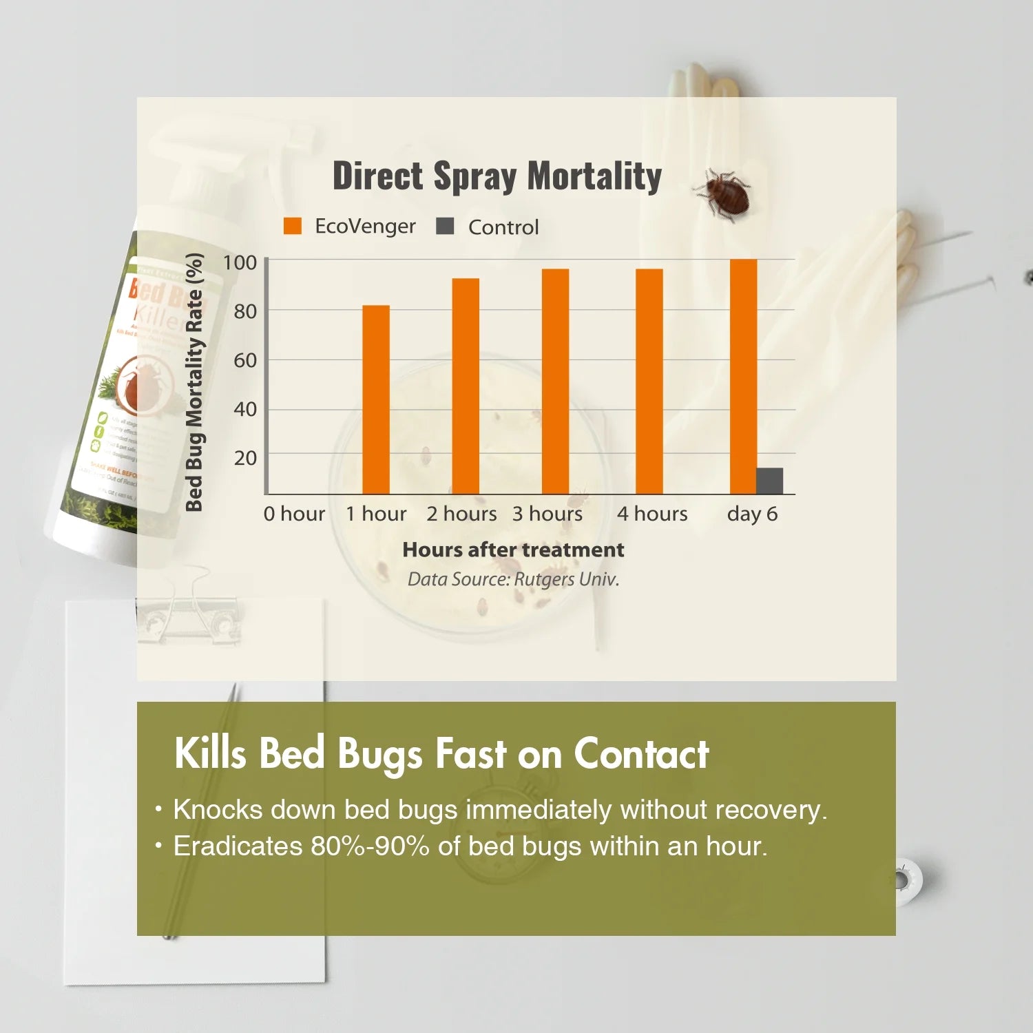 Ecoraider Bed Bug Killer Spray 2 Oz X 6 Bundle, 100% Killing Efficacy with Residual Protection, Green & Non-Toxic