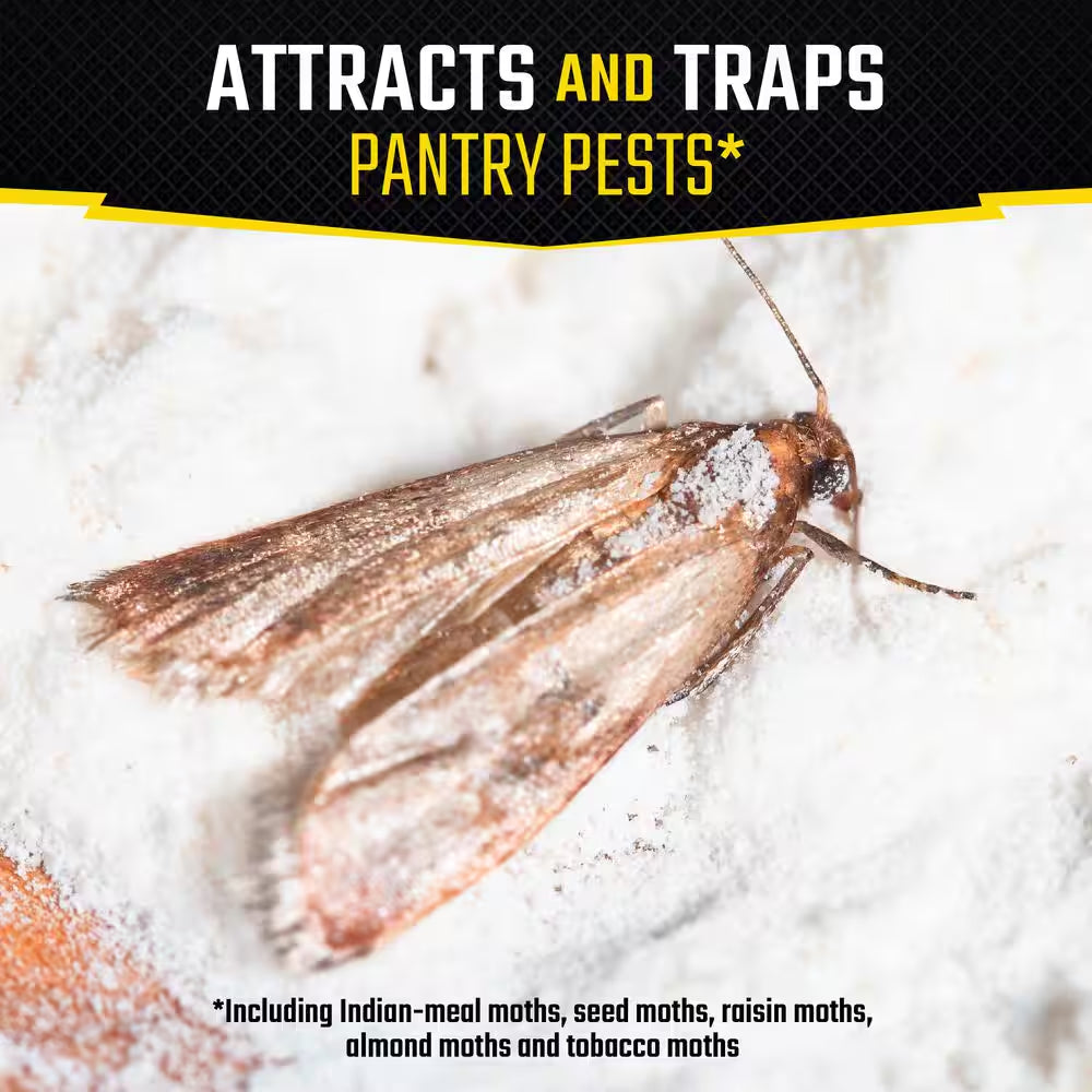 Pantry Pest Moth Glue Traps (2-Count)