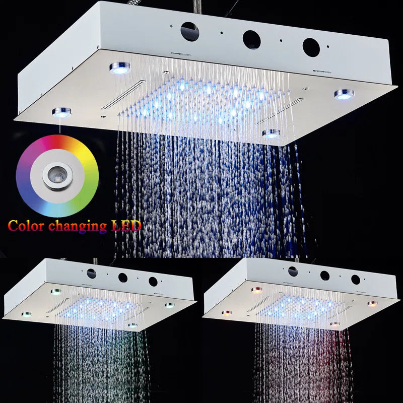 Rain Fixed Shower Head 2.5 GPM GPM with Self-Cleaning
