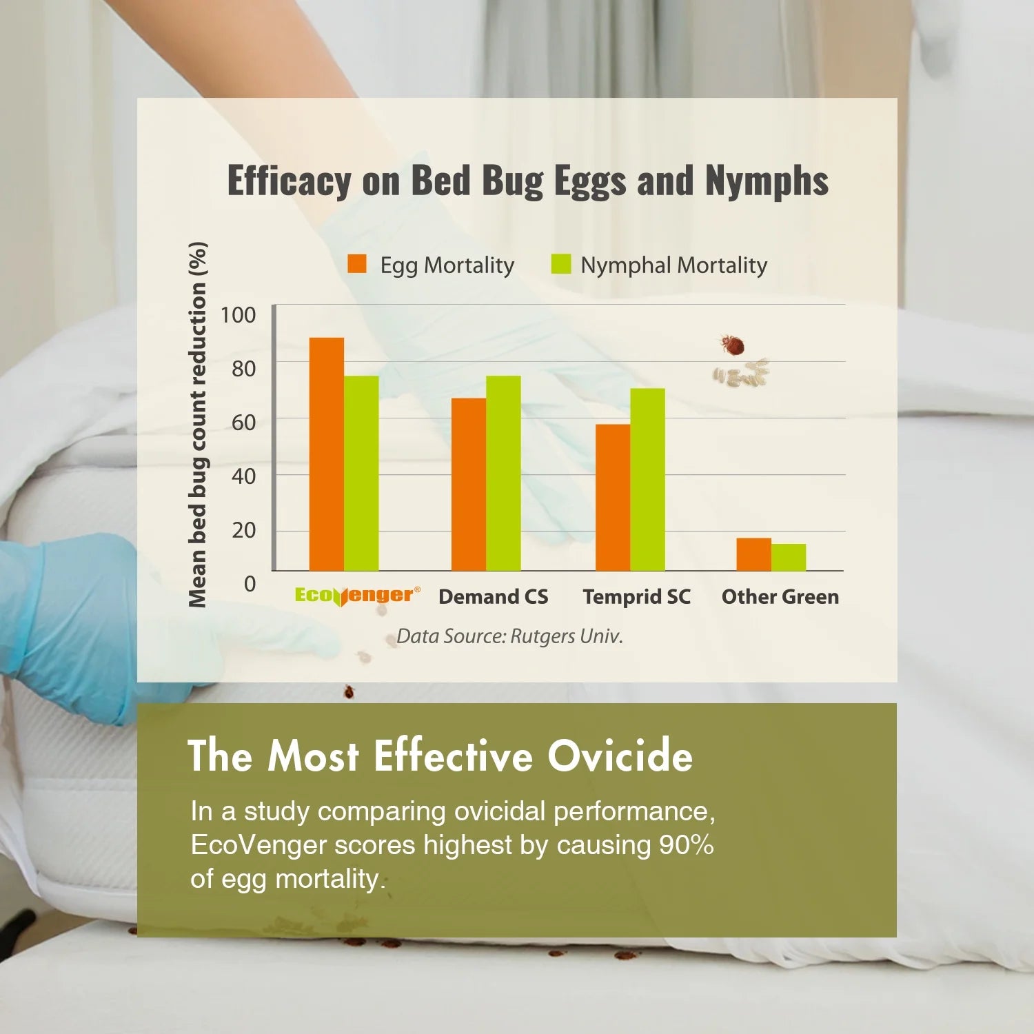 Ecoraider Bed Bug Killer Spray 2 Oz X 6 Bundle, 100% Killing Efficacy with Residual Protection, Green & Non-Toxic