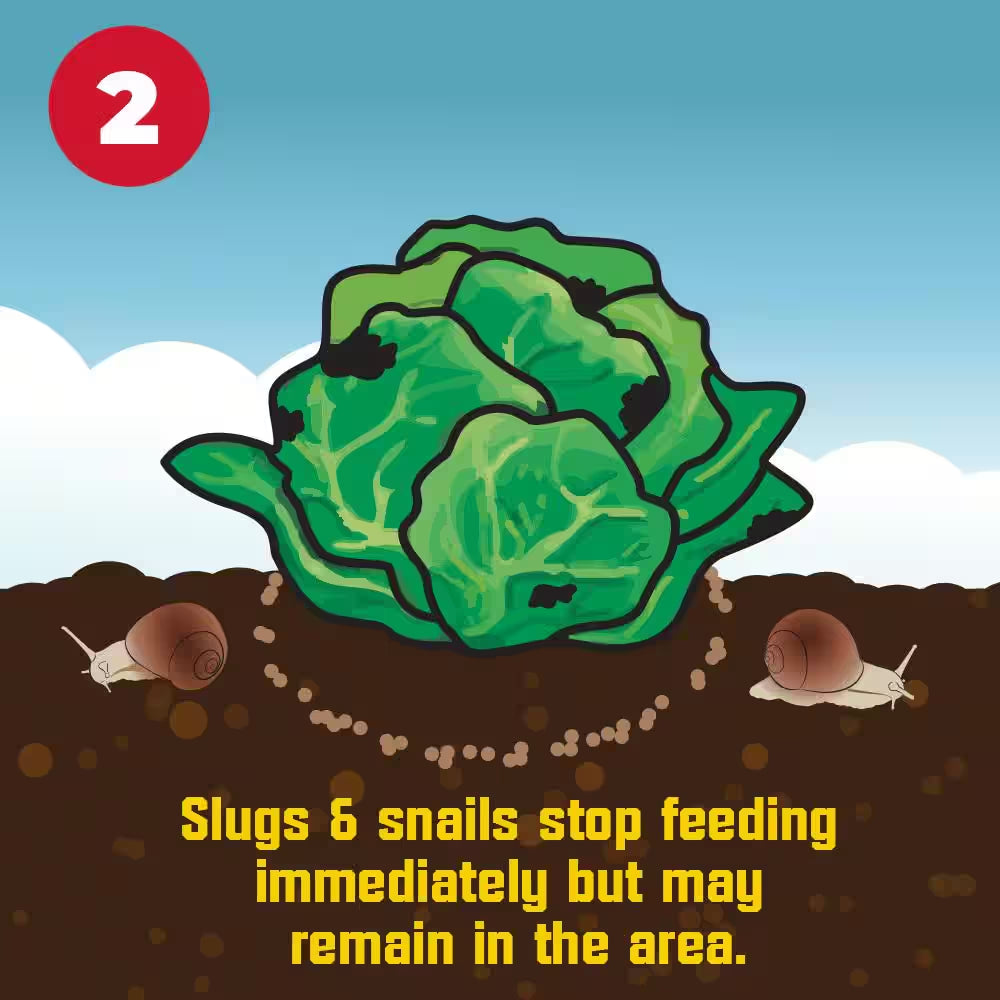 8 Lb. 40,000 Sq. Ft. Slug and Snail Killer for Plants and Gardens