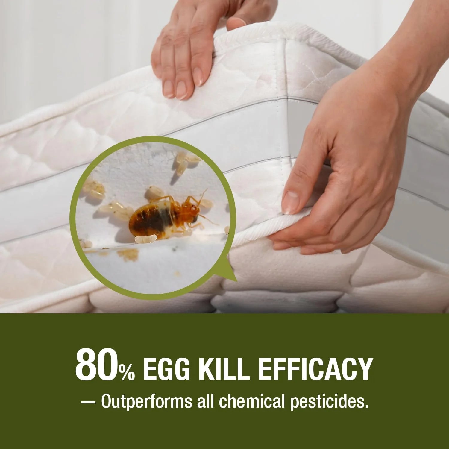 Ecoraider Bed Bug Killer Spray 2 Oz X 6 Bundle, 100% Killing Efficacy with Residual Protection, Green & Non-Toxic