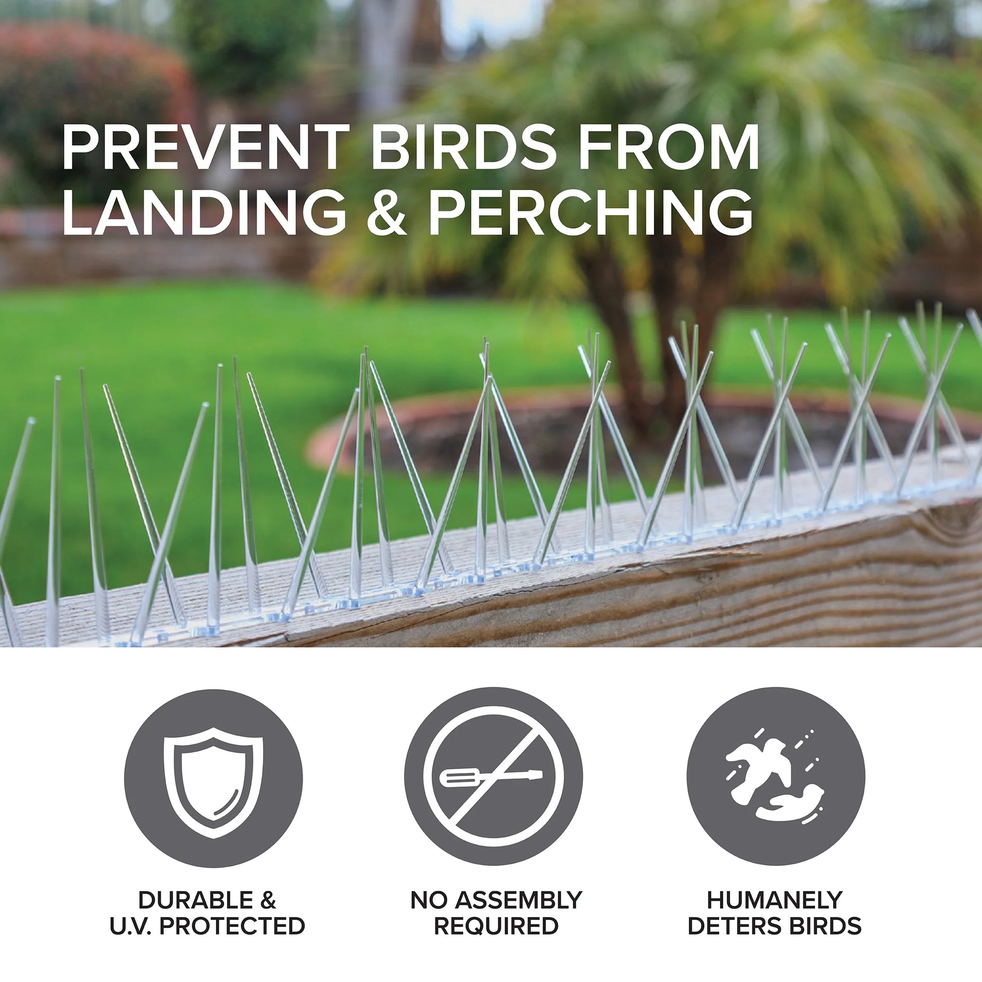 Enviro Spike Clear Plastic Bird Spikes (6 Ft), Bird Deterrent for Pigeons