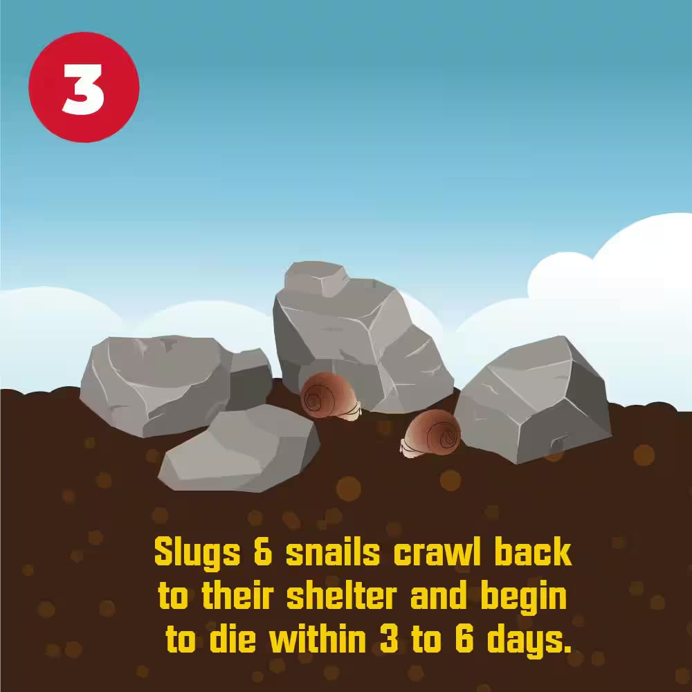 8 Lb. 40,000 Sq. Ft. Slug and Snail Killer for Plants and Gardens