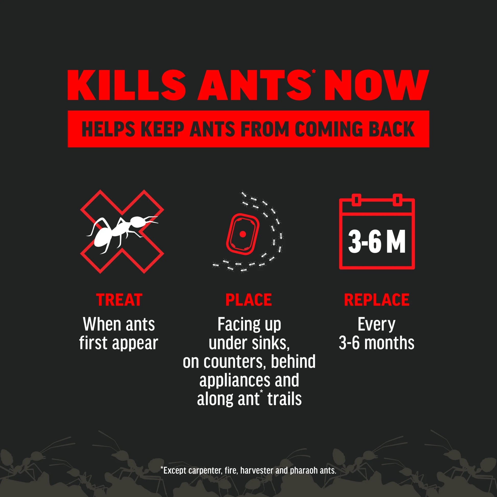 Ant Kills Ant Killer Bait Station, 4 Count
