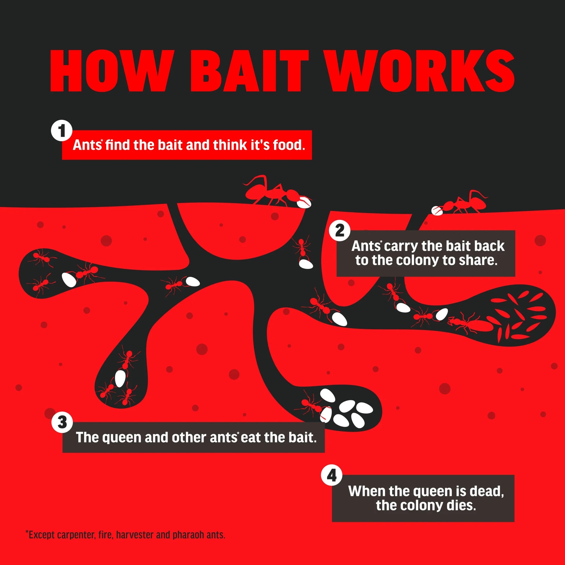 Ant Kills Ant Killer Bait Station, 4 Count