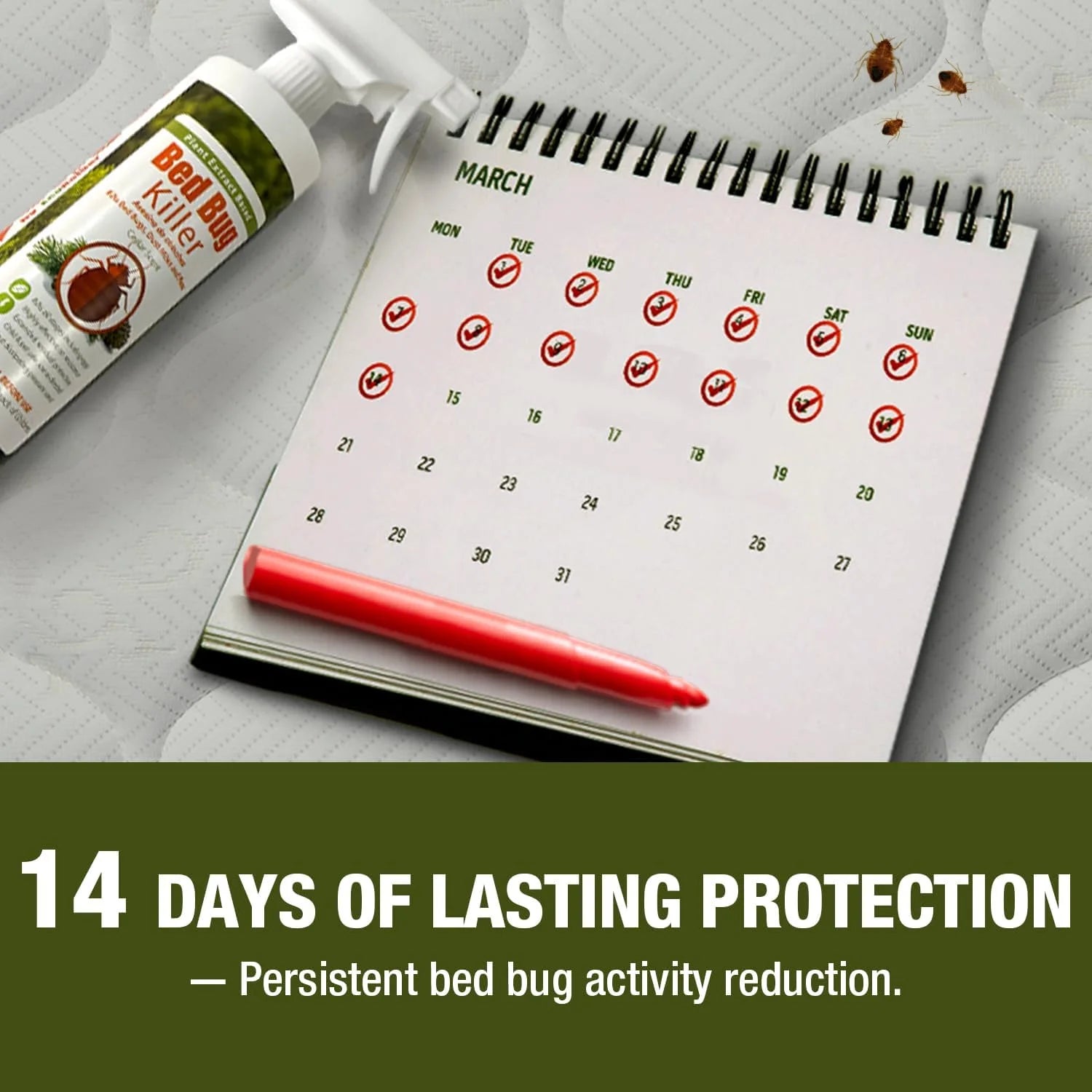 Ecoraider Bed Bug Killer Spray 2 Oz X 6 Bundle, 100% Killing Efficacy with Residual Protection, Green & Non-Toxic