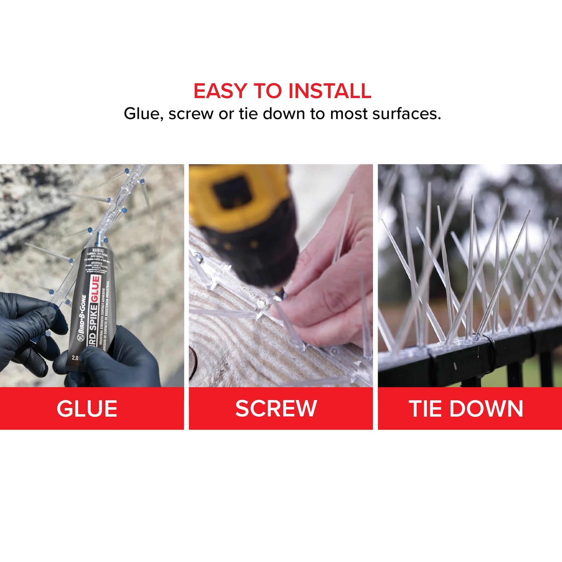 Enviro Spike Clear Plastic Bird Spikes (6 Ft), Bird Deterrent for Pigeons