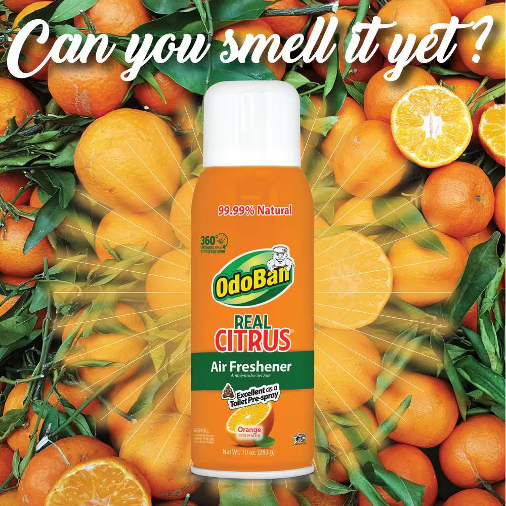 Orange Real Citrus Air Freshener Spray 10 Oz. (2 Pack)