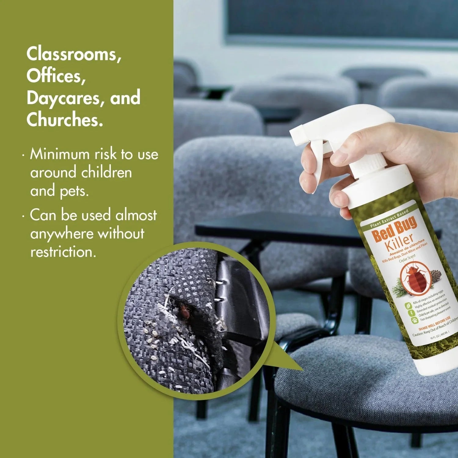 Ecoraider Bed Bug Killer Spray 2 Oz X 6 Bundle, 100% Killing Efficacy with Residual Protection, Green & Non-Toxic
