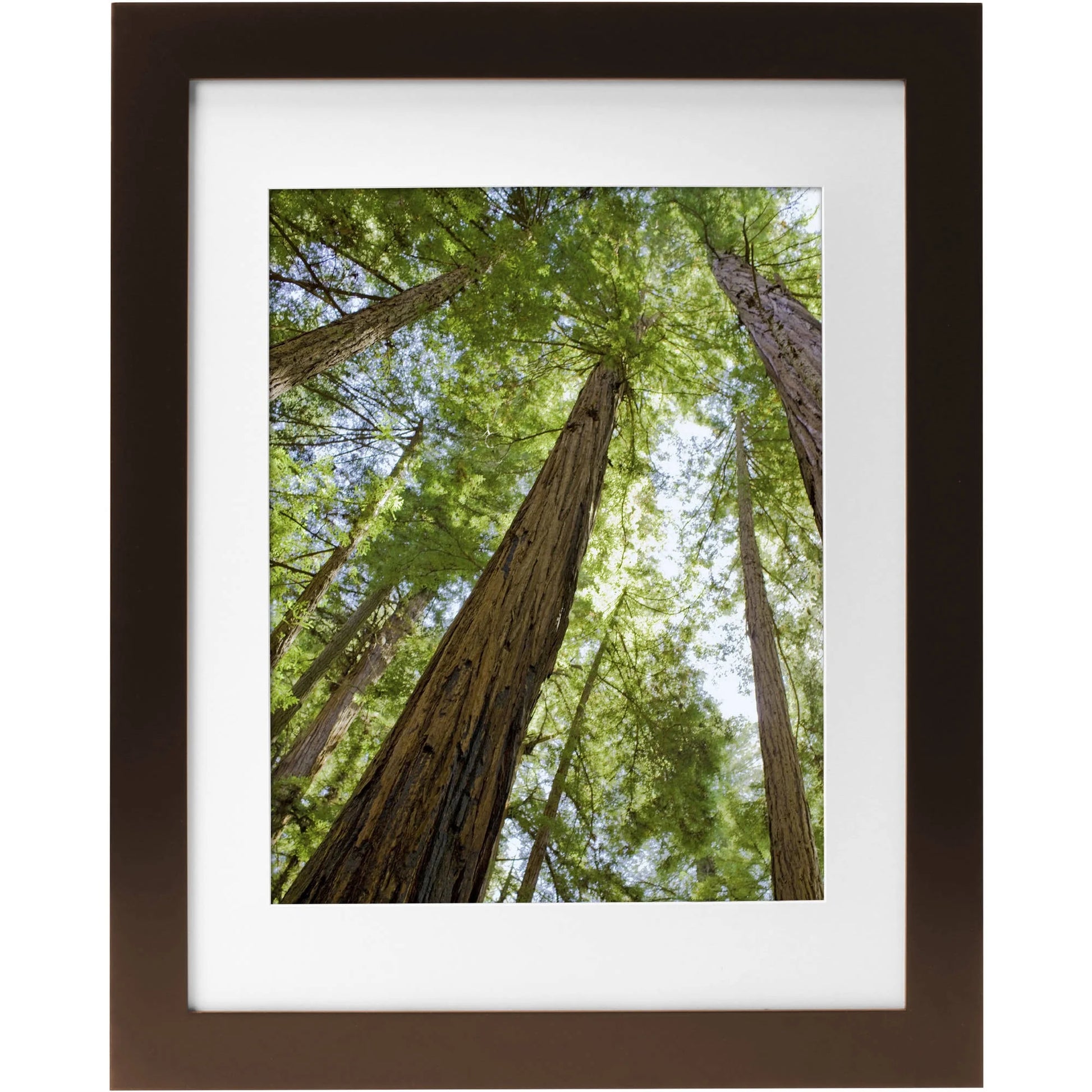 Museum 8X10 Matted to 5X7 Flat Wide Gallery Picture Frame, Mahogany, Set of 2