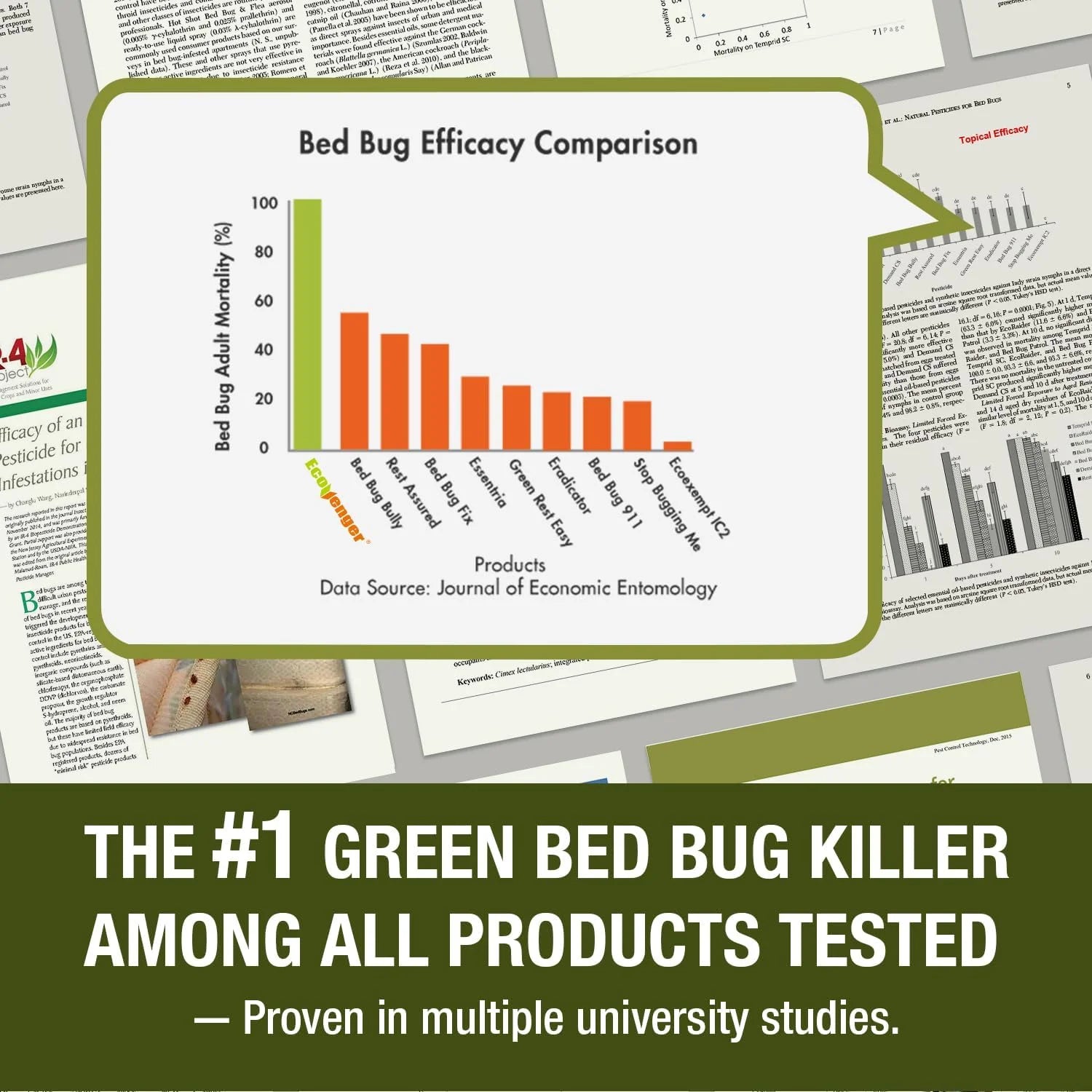 Ecoraider Bed Bug Killer Spray 2 Oz X 6 Bundle, 100% Killing Efficacy with Residual Protection, Green & Non-Toxic