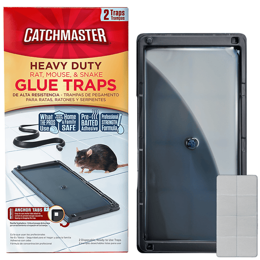 Heavy Duty Solid Glue Traps, 2 Count - for Rats, Mice & Insects