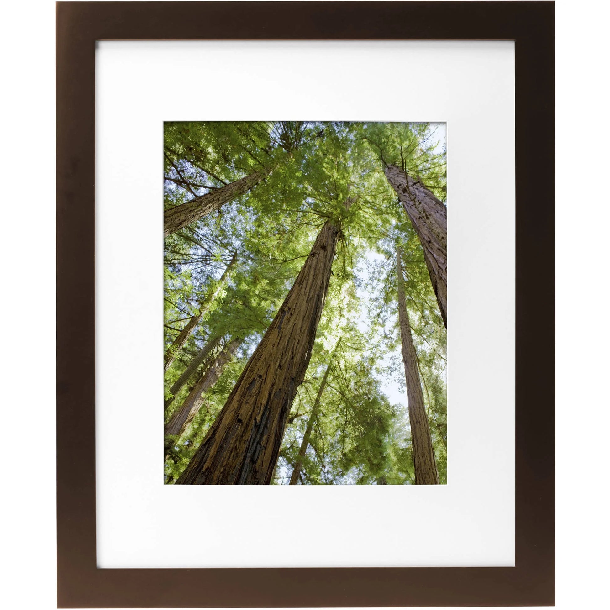 Museum 8X10 Matted to 5X7 Flat Wide Gallery Picture Frame, Mahogany, Set of 2