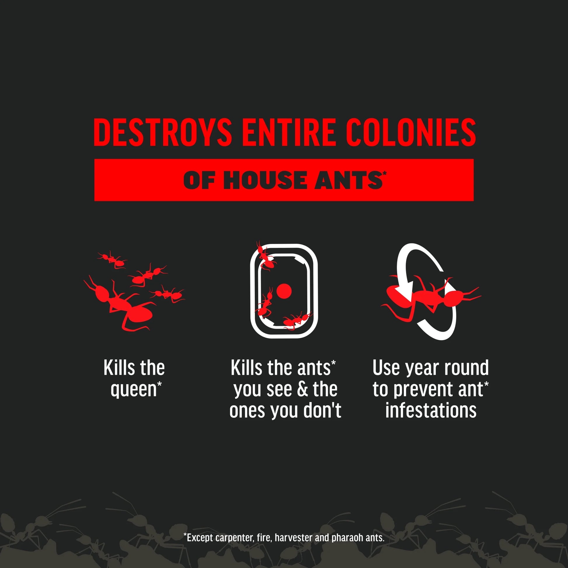 Ant Kills Ant Killer Bait Station, 4 Count