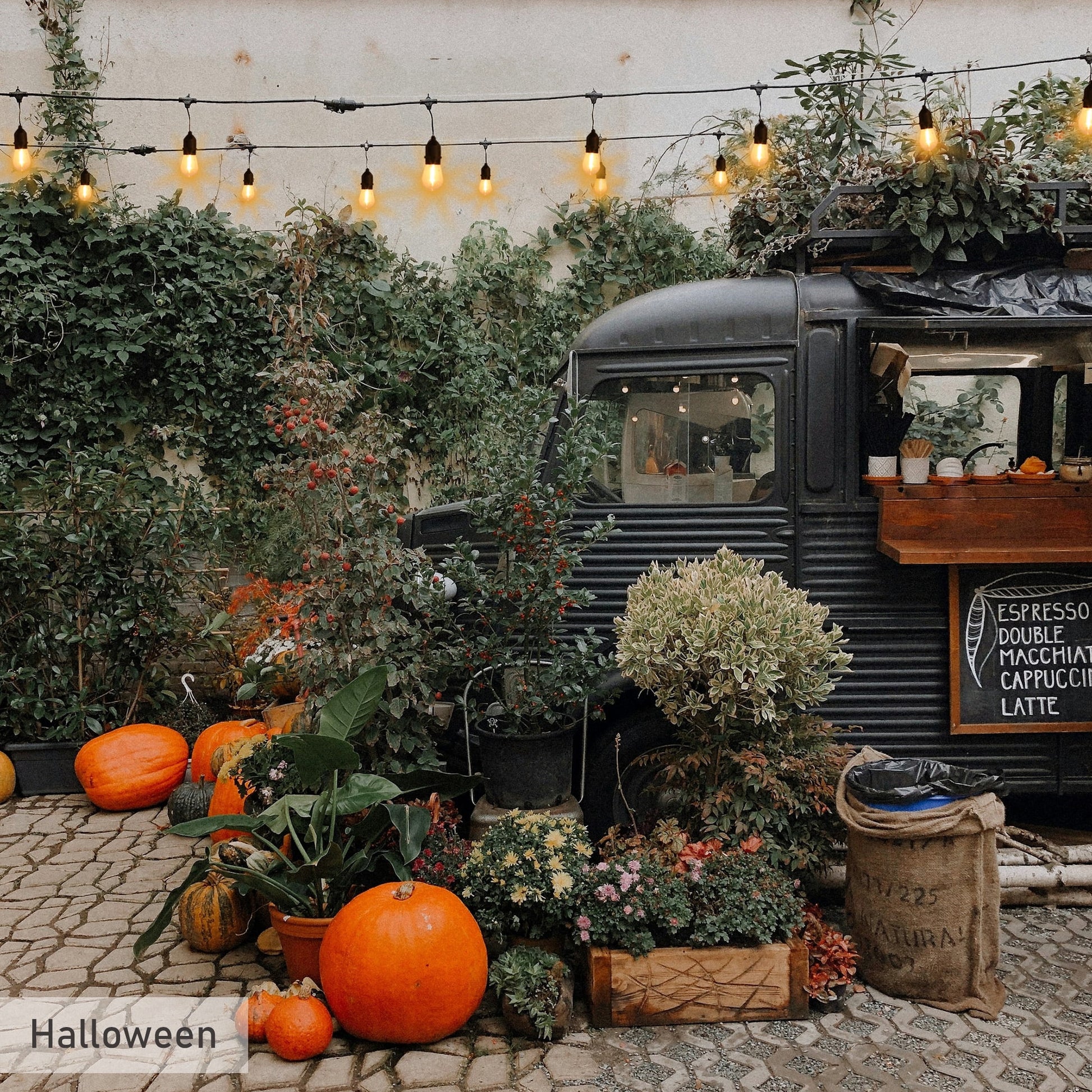 (2 Pack)  24-Foot Outdoor Commercial String Lights, 12 Shatterproof LED Bulbs, Indoor/Outdoor Use