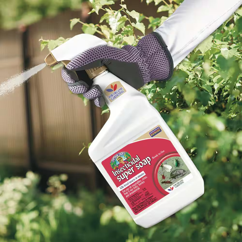 Captain Jack'S Insecticidal Super Soap, 32 Oz for Organic Gardening and Outdoor Plants