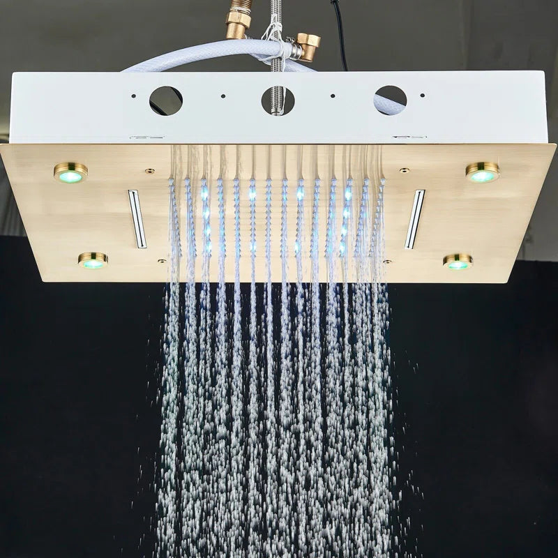 Rain Fixed Shower Head 2.5 GPM GPM with Self-Cleaning