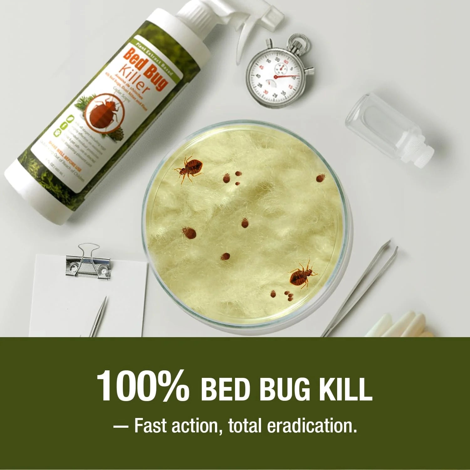 Ecoraider Bed Bug Killer Spray 2 Oz X 6 Bundle, 100% Killing Efficacy with Residual Protection, Green & Non-Toxic