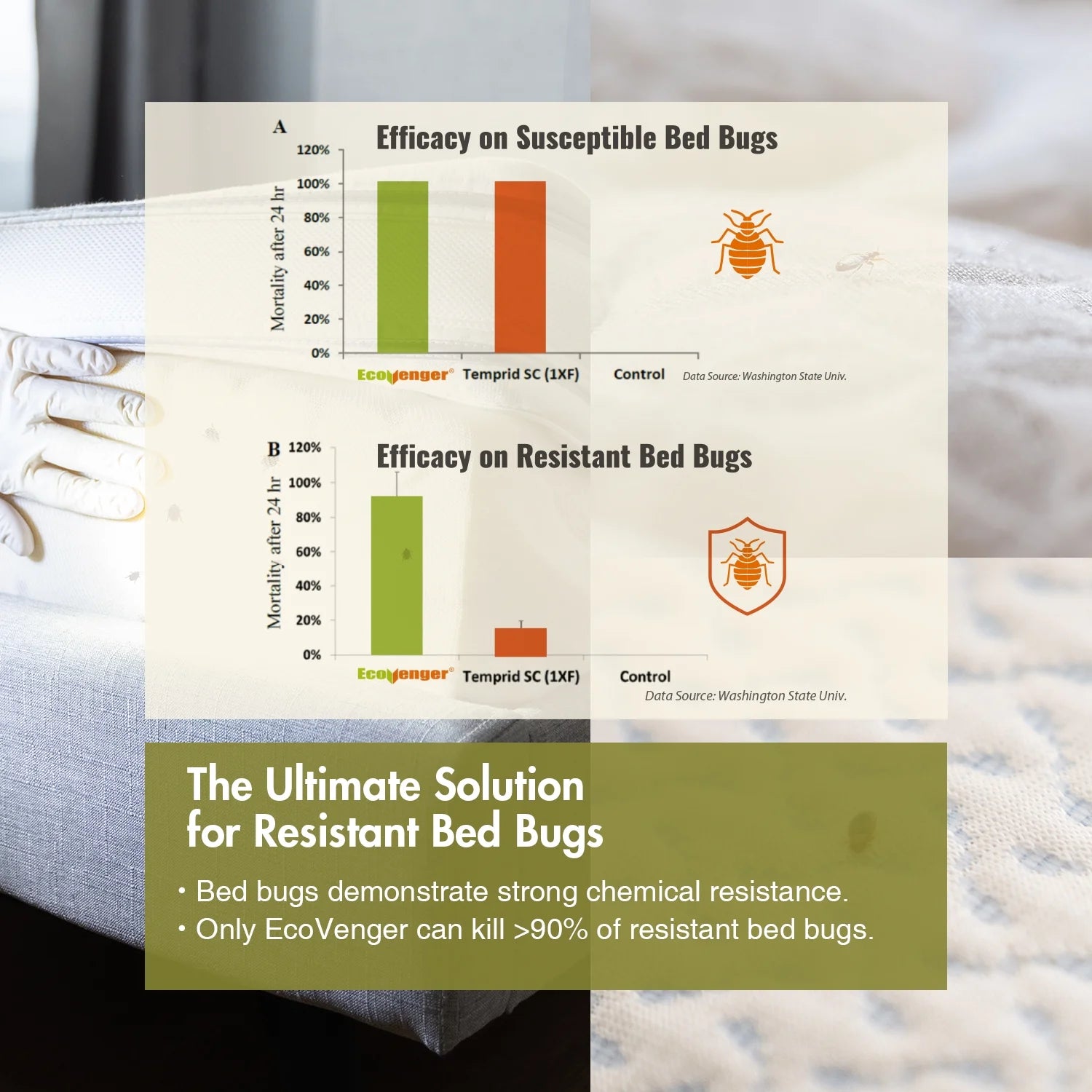 Ecoraider Bed Bug Killer Spray 2 Oz X 6 Bundle, 100% Killing Efficacy with Residual Protection, Green & Non-Toxic