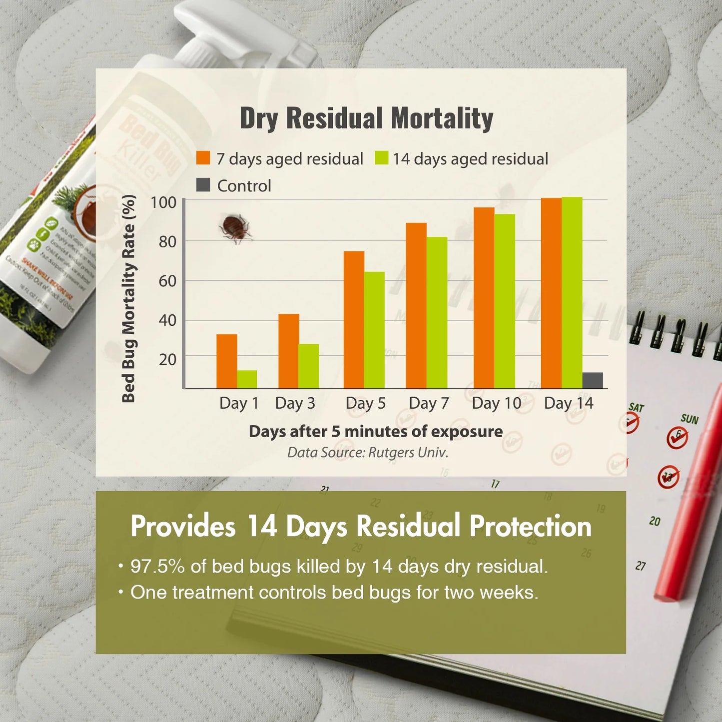 Ecoraider Bed Bug Killer Spray 2 Oz X 6 Bundle, 100% Killing Efficacy with Residual Protection, Green & Non-Toxic