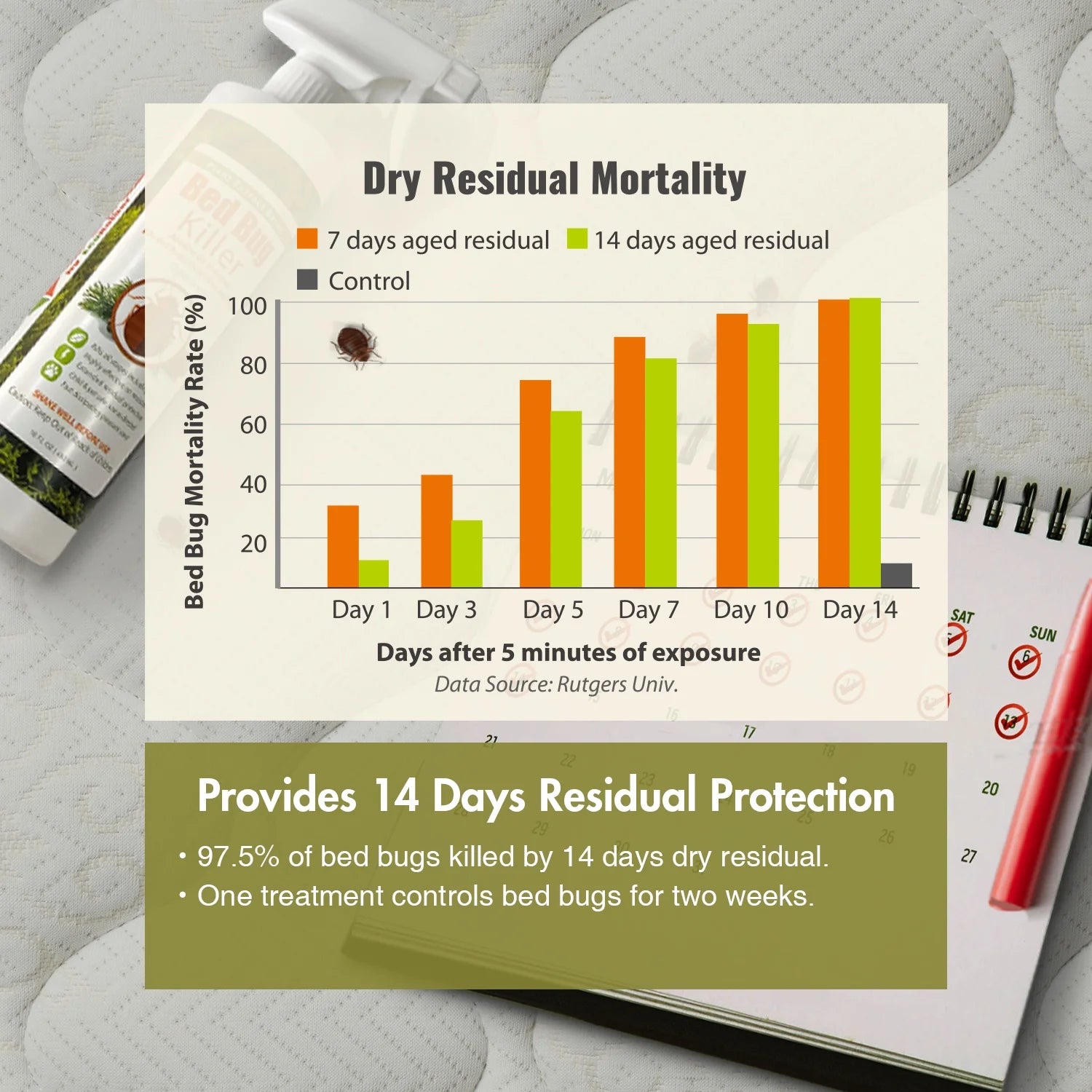 Ecoraider Bed Bug Killer Spray 2 Oz X 6 Bundle, 100% Killing Efficacy with Residual Protection, Green & Non-Toxic