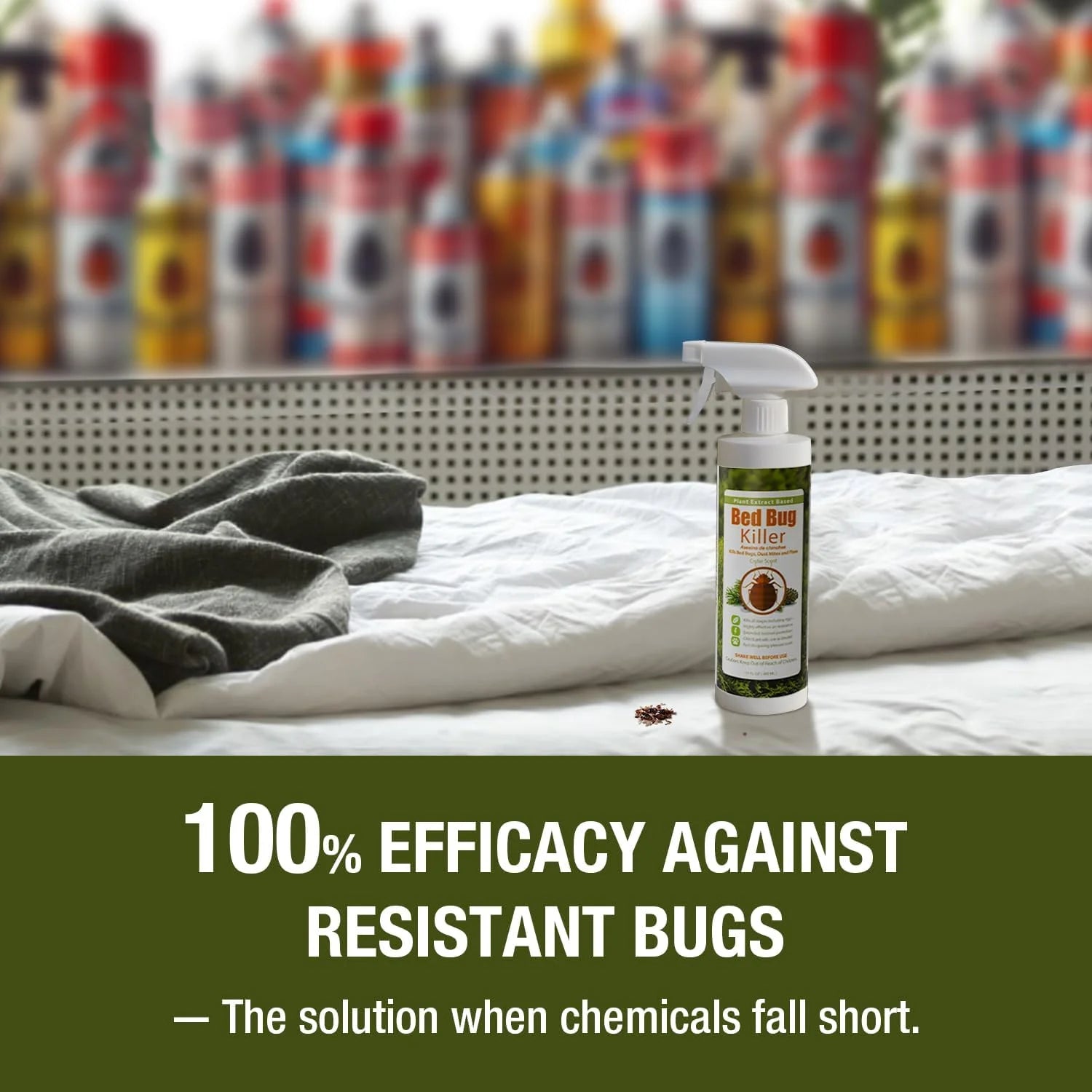 Ecoraider Bed Bug Killer Spray 2 Oz X 6 Bundle, 100% Killing Efficacy with Residual Protection, Green & Non-Toxic