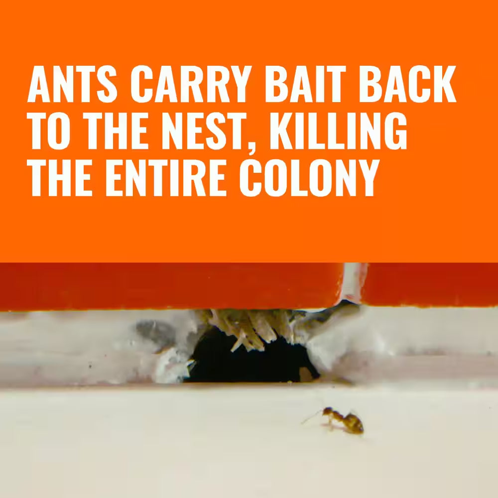 Indoor Liquid Ant Killer Baits (6-Count)